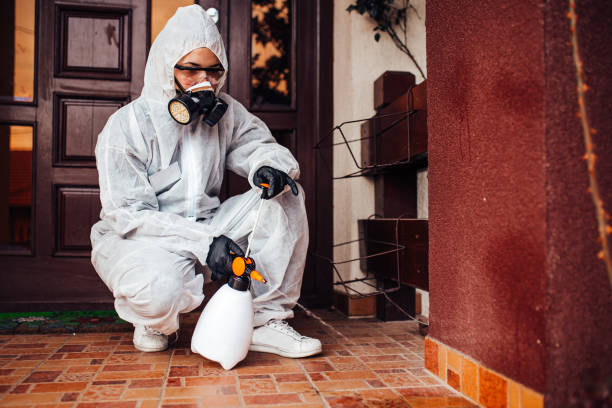 Reliable Wasp Removal contractor in Marietta, OH by Show Me Pest Control