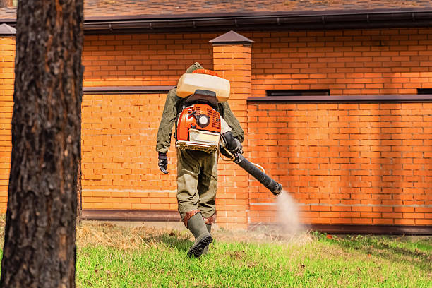 Top rated local Wasp Removal specialists in Marietta, OH